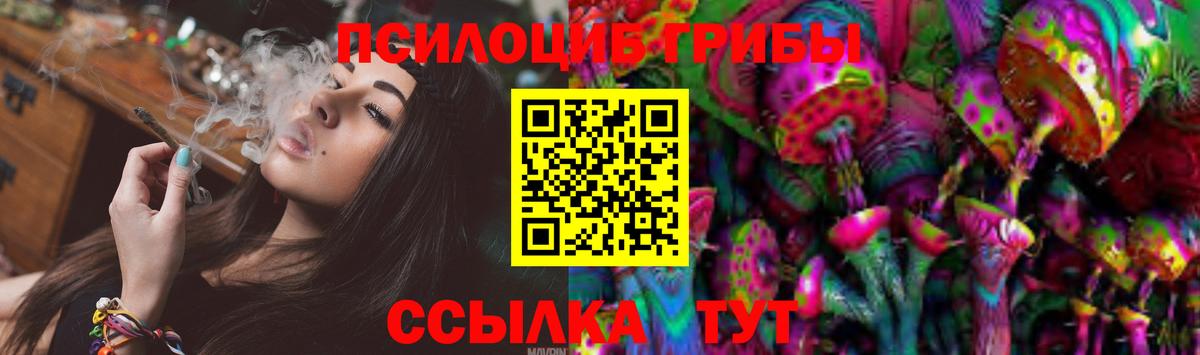 наркота  Вход с VPN  Псилоцибиновые грибы Psilocybe  Вичуга  Псилоцибиновые грибы Psilocybine cubensis 